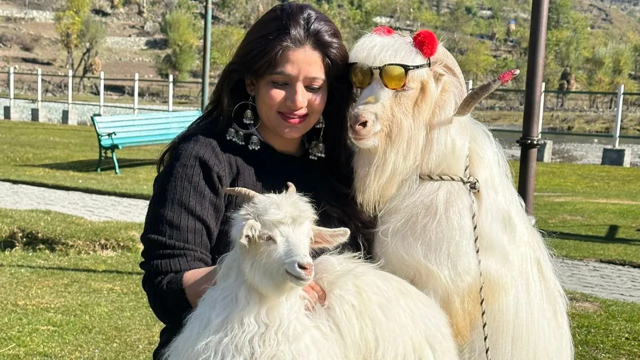 oshin sharma