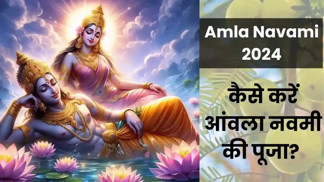 Amla navami 2024