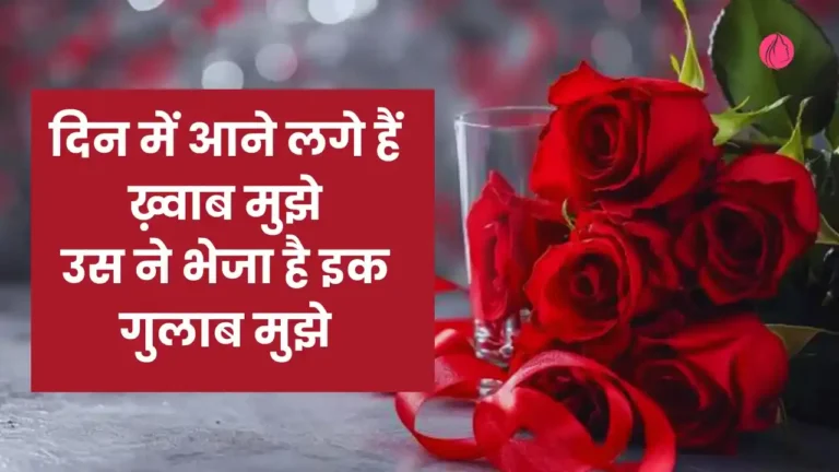 Rose Day Shayari