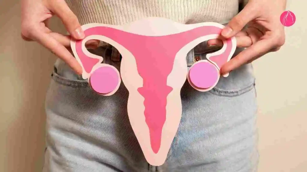 women's health fibroids